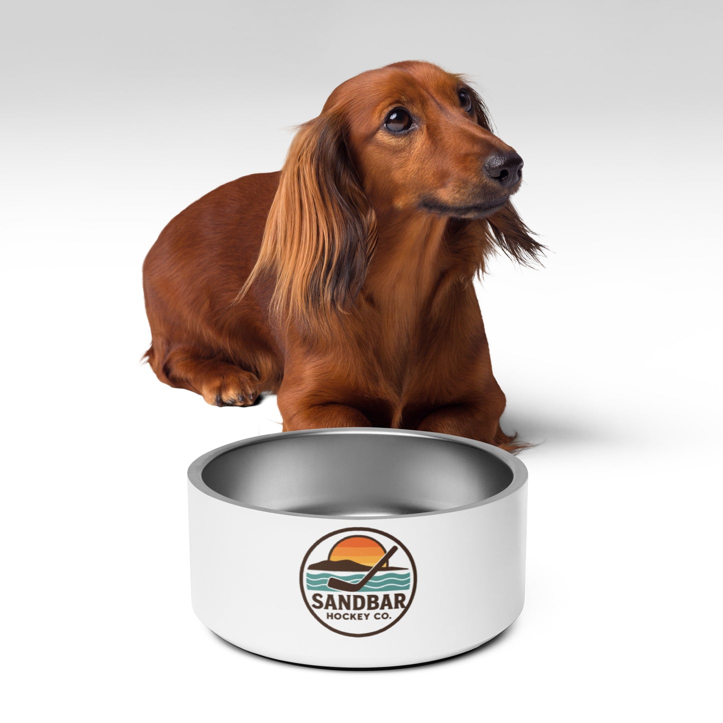 Brown dachshund with a white Sandbar Hockey Co. dog bowl filled with kibble, right front angle view.