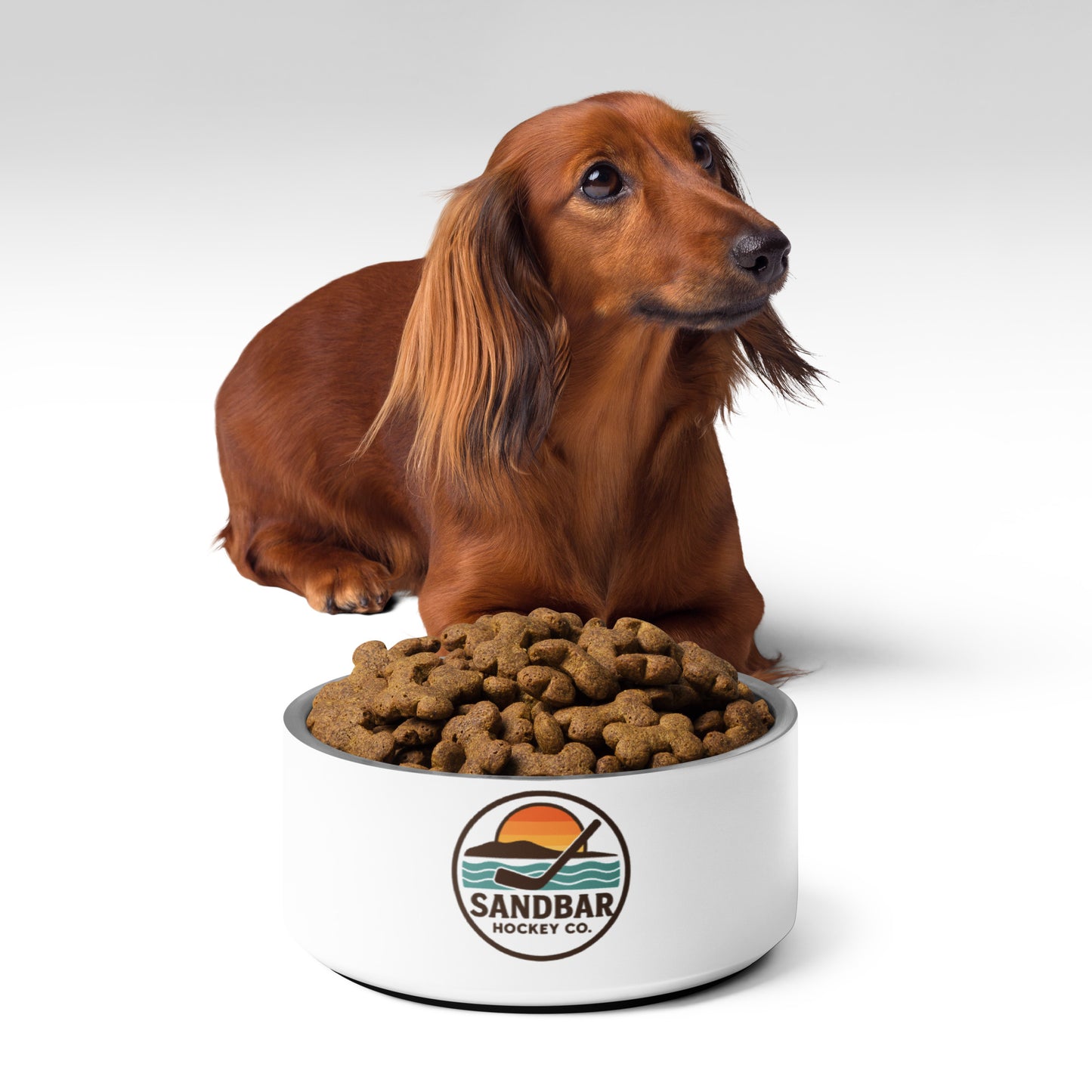 Brown dachshund with a Sandbar Hockey Co. dog bowl filled with kibble, front angle product image.